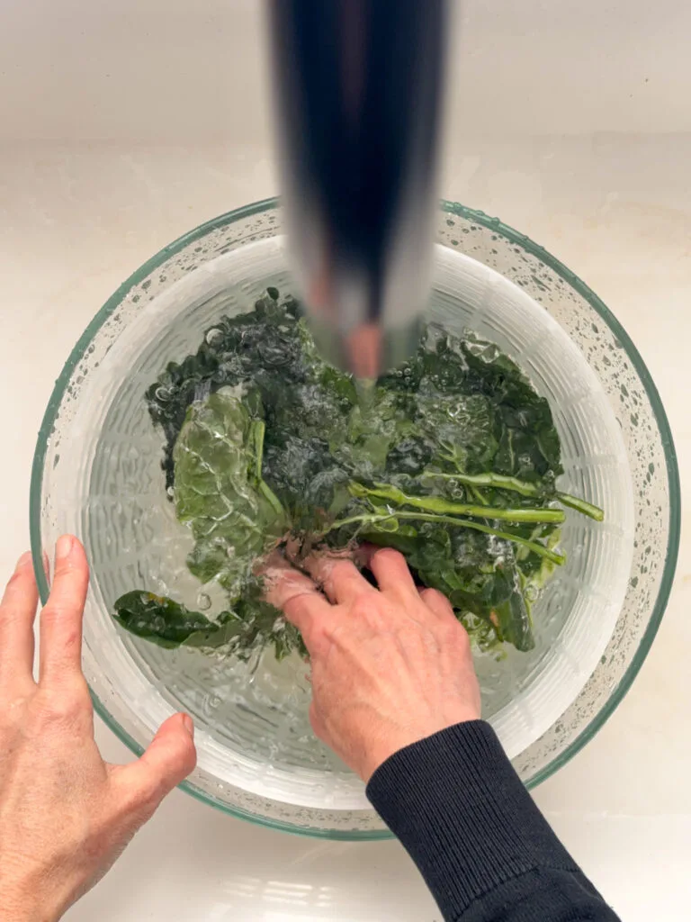 Kale being washed