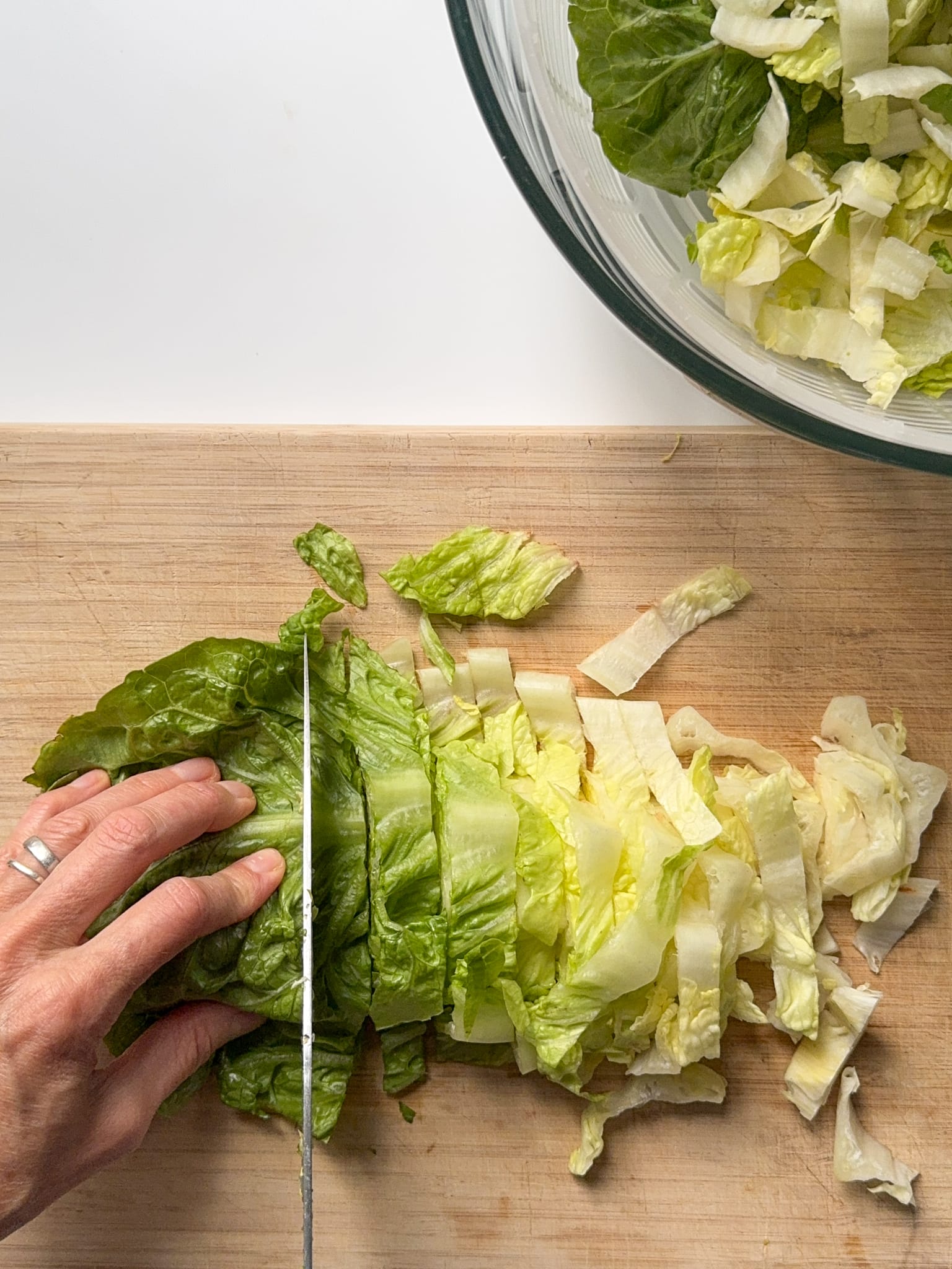 Cutting Romaine lettuce